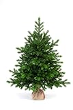 eveXmas 65cm Künstlicher Weihnachtsbaum, Tannenbaum ALTAIR Klassik Grün, 62 Zweige 100% PE-Spitzen, inklusive ständer sackleinen